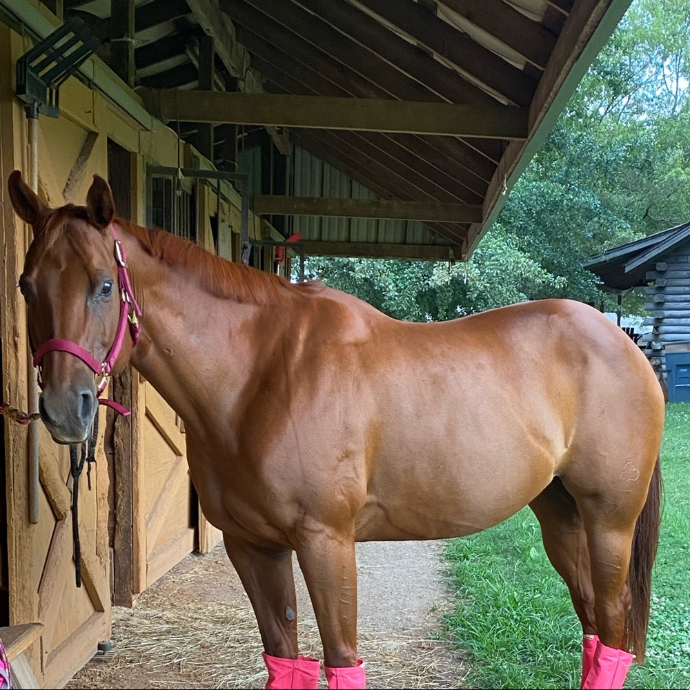 Meet your Posher, Kristen